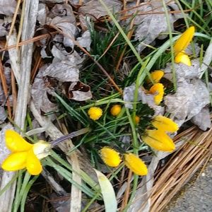 SPRING IS AROUND THE CORNER.